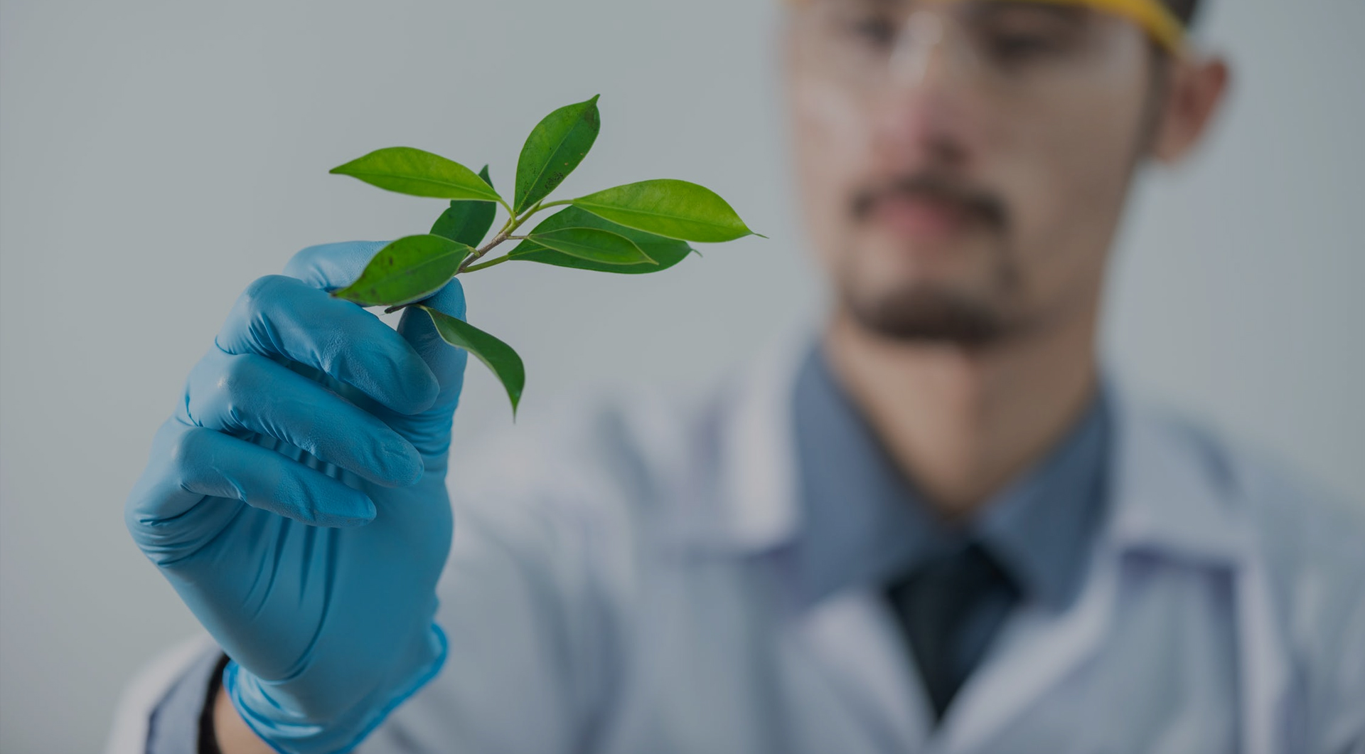 永乐高·70net(中国)有限公司官网-BinG百科