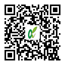 永乐高·70net(中国)有限公司官网-BinG百科