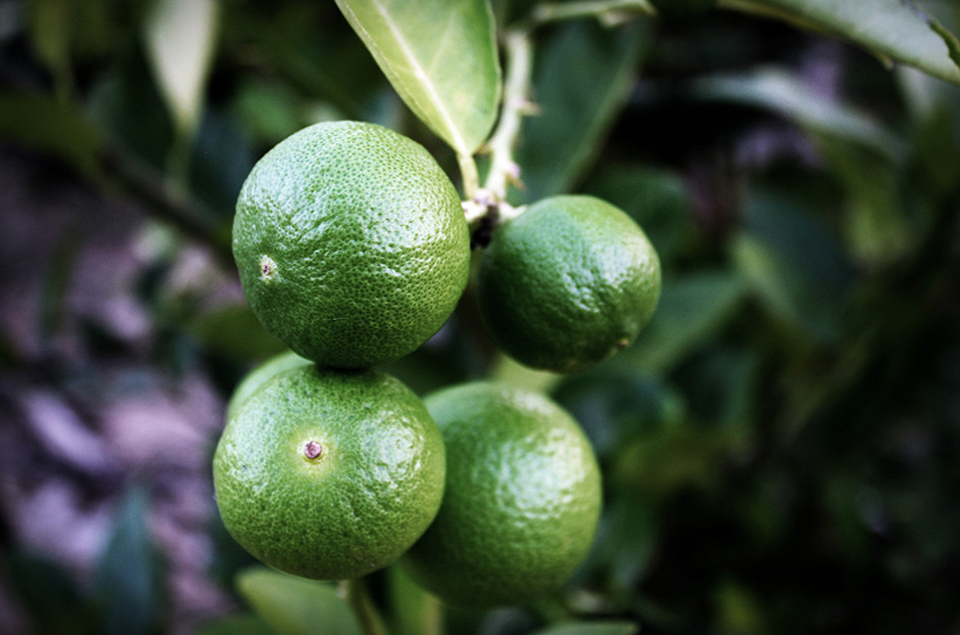 永乐高·70net(中国)有限公司官网-BinG百科