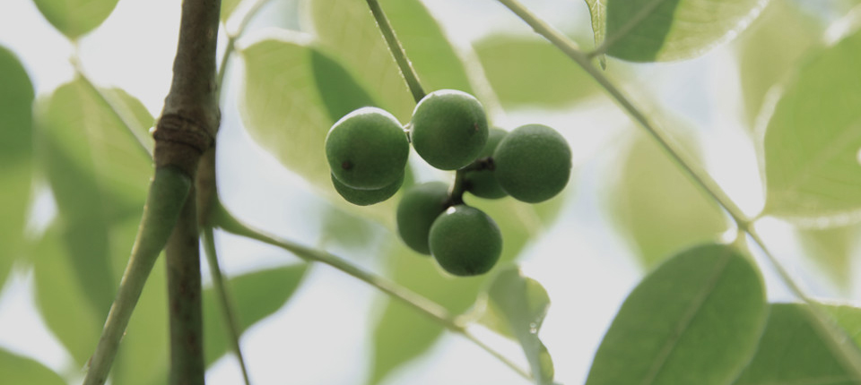 永乐高·70net(中国)有限公司官网-BinG百科