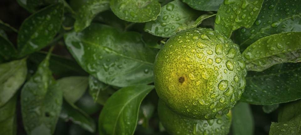 永乐高·70net(中国)有限公司官网-BinG百科